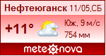 Погода от Метеоновы по г. Нефтеюганск