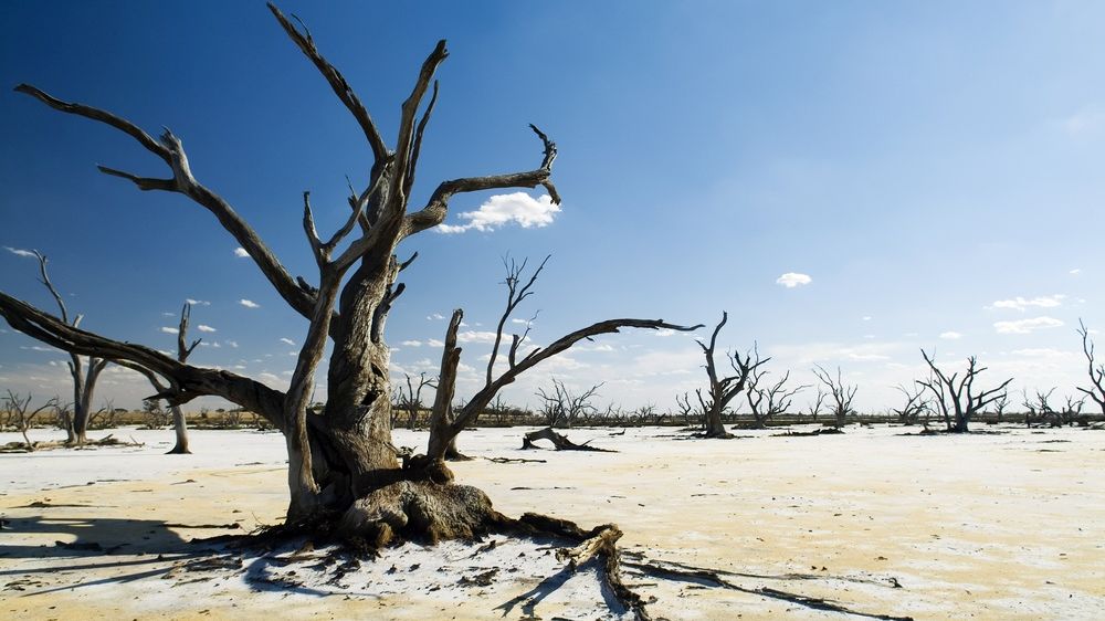 Засуха тысячелетия уменьшила водозапас Австралии