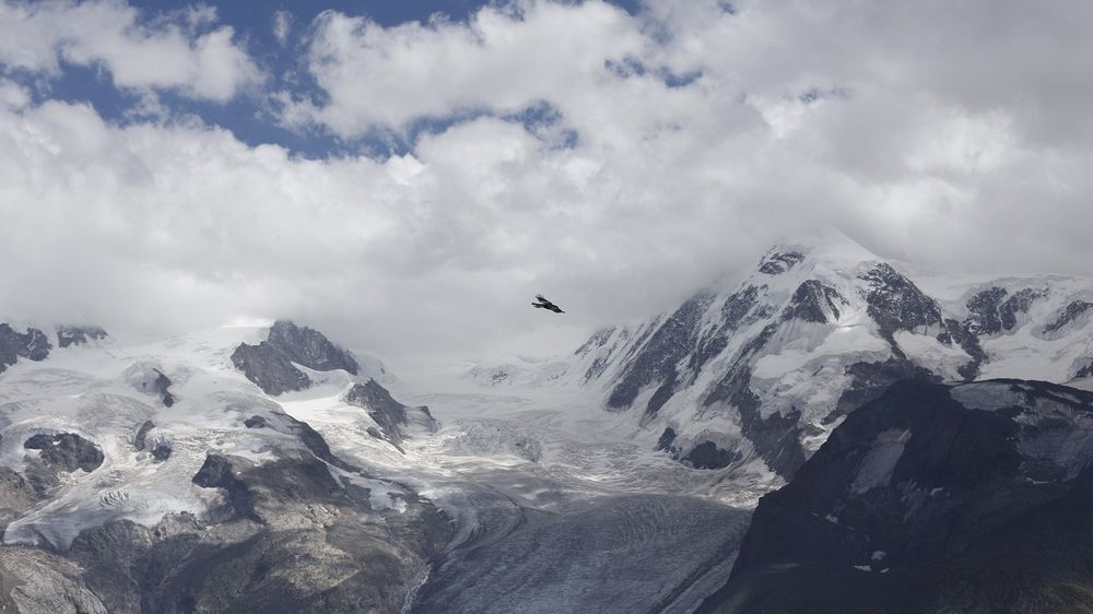 В Таджикистане растаяла треть всех  ледников